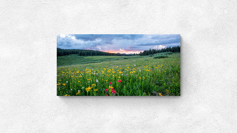 12 x 24 Photo Print