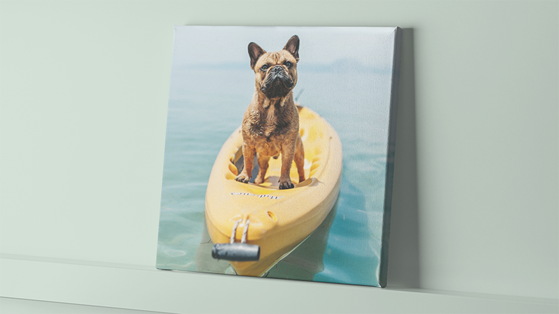 15 x 15 Canvas Prints