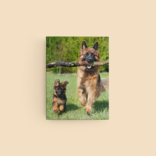 20 x 16 canvas print