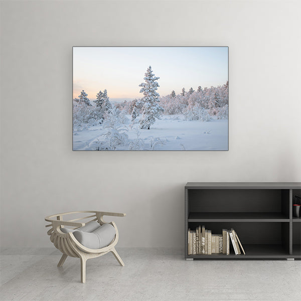 canvas 20 x 30