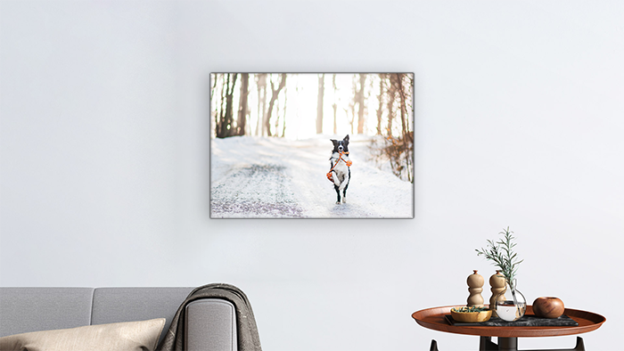 10 x 14 photo print