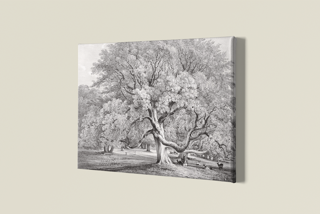 16 x 24 canvas prints